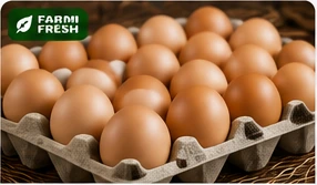 Premium farm fresh eggs in a crate
