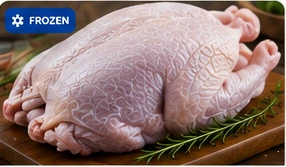 Premium frozen turkey